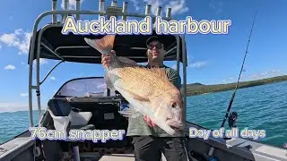 Snapper Fishing Auckland Harbour (big fish)