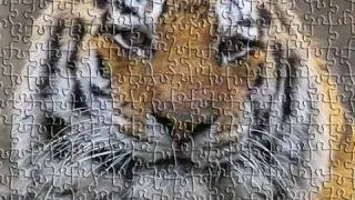 Tutorial Photoshop CS5 - Puzzle effect