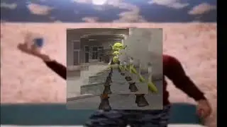 самое полезное видео