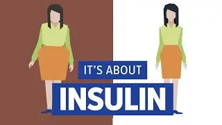 Why do we have so many health challenges today? Insulin is a key part of the equation.