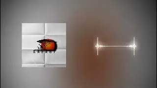 Donttoucheagle - Safari