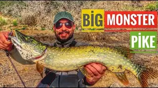Giant Pike Hunt | I Got The Beast | Fishing Pike Hunting | Big Monster Pike