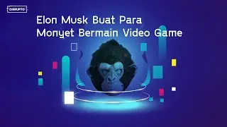 Elon Musk Buat Para Monyet Bermain Video Games
