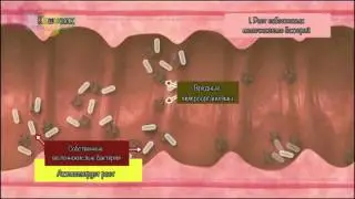 Купить продукт Дайго в интернет магазине ЭСТЕЛАБ