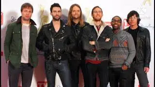 Showcase maroon 5 animals