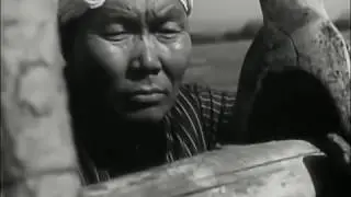 Белая лошадь (1966) фильм