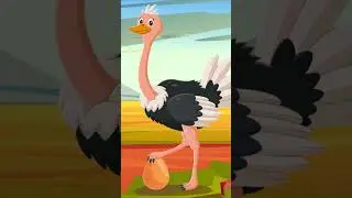 Aysuda Ülkü Zeren - Devekuşu #shorts 1