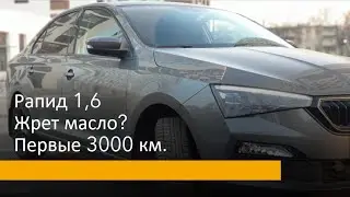 Skoda Rapid NEW 1.6 2020 short review