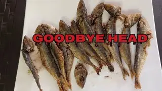 Goodbye Head