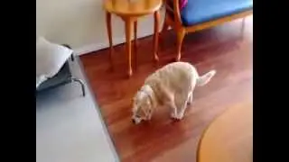 Кто курил? Я не курил!