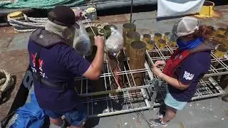 NBC’s 44th Annual: Macy’s 4th of July Fireworks Spectacular  Prep B Roll h264 hd