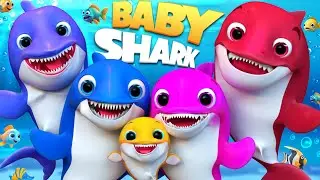 Baby Shark song |Animal Songs | #babyshark #cocomelon #SongsforChildren  #kidssong