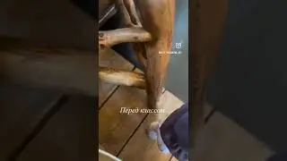А как вы готовитесь к классу? Мне важно настроить голову , а потом тело. #ballet #dancer #dance