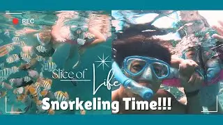 SNORKELING TIME DI PADANG BAI