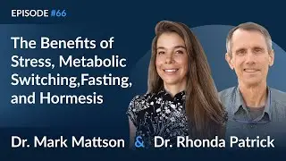 Dr. Mark Mattson on the Benefits of Stress, Metabolic Switching, Fasting, and Hormesis