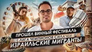 Кипр Сегодня - Новости / Беженцы Израиля / Кошек Пересчитают / Музей Черепах / Гигантское Колесо