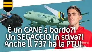 Lo strano e inquietante rumore su alcuni aerei - La PTU di Airbus e non solo!