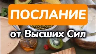 ПОСЛАНИЕ ВЫСШИХ СВЕТЛЫХ СИЛ: Мёртвые ядовитые продукты питания старайтесь не употреблять в пищу…