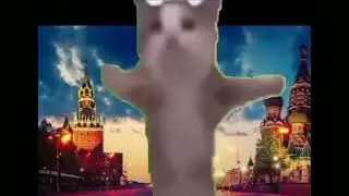 В магните хайпуки