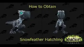 How to Obtain: Snowfeather Hatchling  | World of Warcraft: Legion
