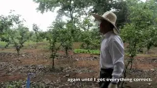 Agricultural Passion - A Documentary on Hwang Young Hwan