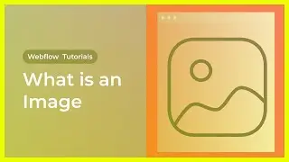 What is Image Element & Assets Panel in Webflow