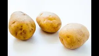 Potatoes_part_4.mp4