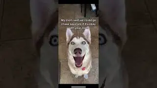 Tell her you’ll stop licking her face after licking your butt! ￼