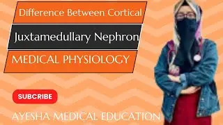Difference Between Cortical and Juxtamedullary Nephron || NEPHRON || Renal Physiology and Skin