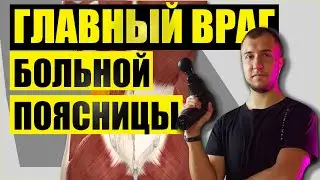 Болит поясница! Какую мышцу массировать и как? | Из семинара "Компрессионные боли в пояснице" |