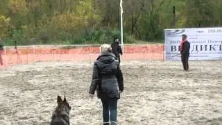 2 упражнение