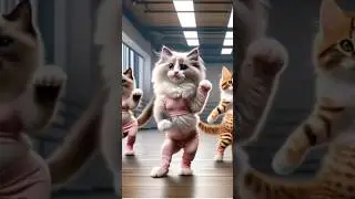 кошечки