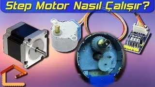 Step Motor (Stepper) Nedir, Nasıl Çalışır? (Sürücü Devre ve Çalışma Prensibi ile) #26