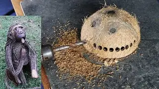 Unexpected Beauty: How Nature Turns Decay into Art!