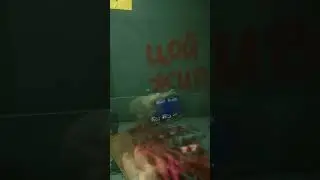 Цой Пасхалка 