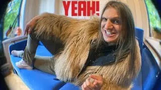 Killer King - Yeah! (Home Video)