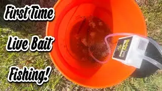 First Time Live Bait Fishing!