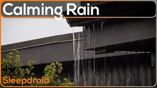 ► Calming Rain Sounds: Overflowing Gutter to Fall Asleep Fast