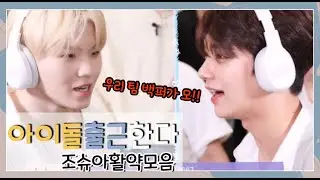 [세븐틴/조슈아]아이돌출근한다 조슈아 활약 모음 (feat.우리팀 백퍼가 모!!)