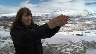 Ch Alaska Land  3 @