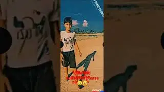 Shahar mein Raja kaa @ video