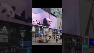 is this real panda