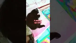 А дедушка где спит?🤣 