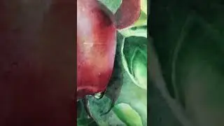 яблочки