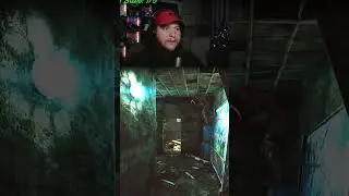 Al Dropping Bodies - Escape From Tarkov
