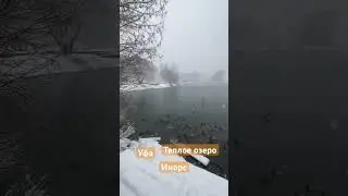 Уфа, погода, ❄️❄️❄️. 02.12.23