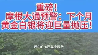 摩根大通最新报告预警：600亿资金即将撤离，1月技术性抛压风暴来袭！