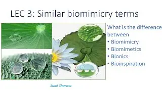Lec 3 - Umbrella terms in Biomimicry. Similar or synonymous terms. Right or wrong
