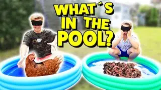 What’s in the BOX - POOL Edition