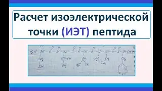 Determination of pI (isoelectric point) of peptides. Biochemistry.